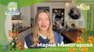 Экодиктант 2026 приветствие общее