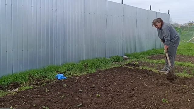 6. April 2025 Крым.Опять плохая погода, ждём заморозки