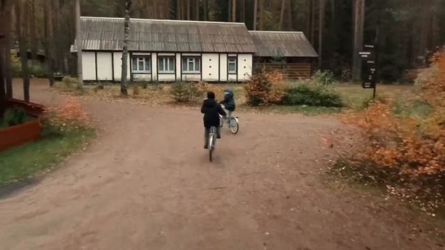 Осенний лес и отличный отдых с друзьями!