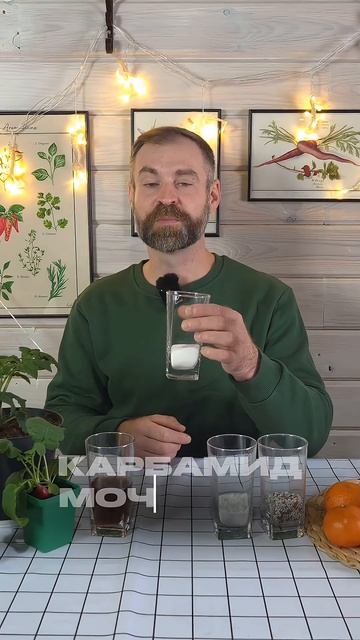 Простые удобрения — большой урожайБез сложных схем и лишних трат. #SemenaPartnerShorts