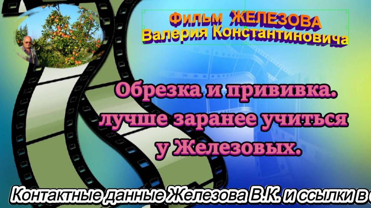 Обрезка и прививка. лучше заранее учиться  у Железовых.