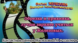Обрезка и прививка. лучше заранее учиться  у Железовых.