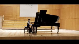 Ф. Шопен Вальс №14 ми минор