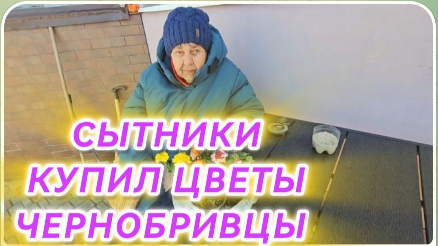 САМВЕЛ АДАМЯН, СЫТНИКИ, КУПИЛ ЦВЕТЫ ЧЕРНОБРИВЦЫ..