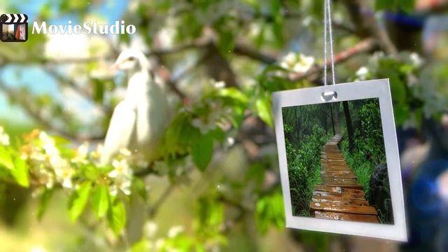 Иван Вихарев - Белое солнце