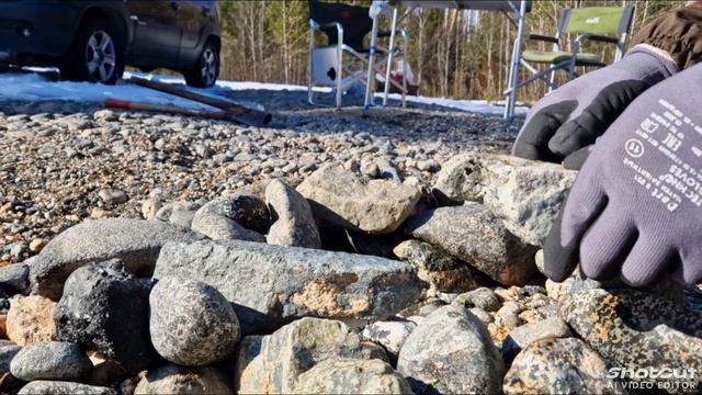 На природе в светлый день.