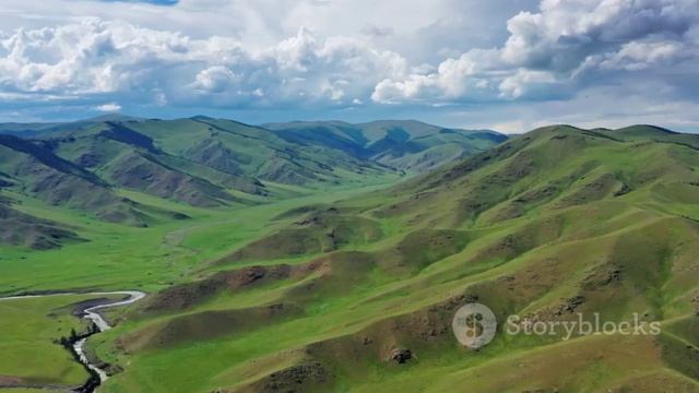 Нормы Конституции РФ в налоговой логике. КАЛИНИНГРАД