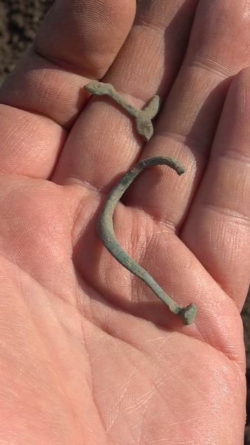 Неведомая древнятина #shorts #неведомоенечто #metaldetecting #древность #леснойкоп