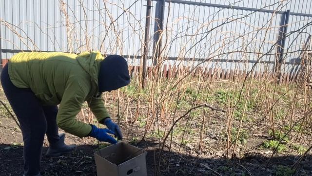 работы в саду полно 16.04.26