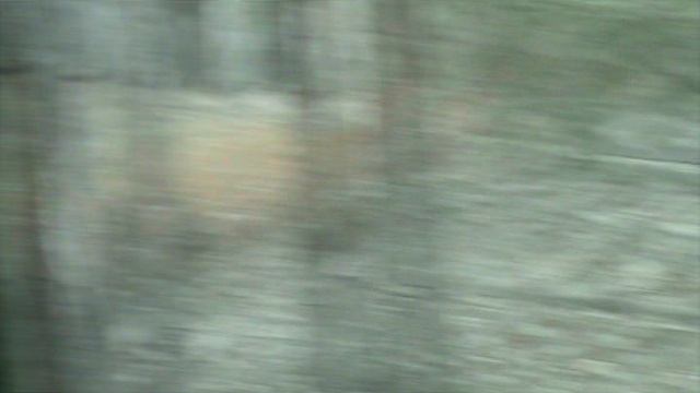 92)ГЕЛЕНЖИК САФАРИ ПАРК(2015 ГОД)