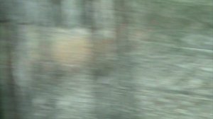 92)ГЕЛЕНЖИК САФАРИ ПАРК(2015 ГОД)