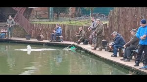 Запуск и продолжение поимок.