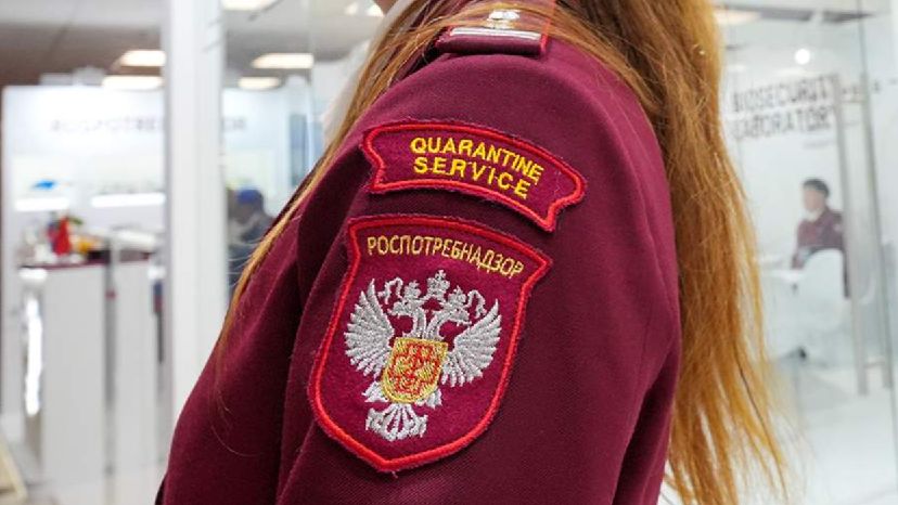 Роспотребнадзор сообщил о расследовании случаев инфекции в детсаду в Одинцово