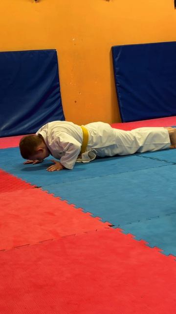 Тренер на связи  S2 D162 айкидокалининград  спорт judo aikido айкидо реальноеайкидо