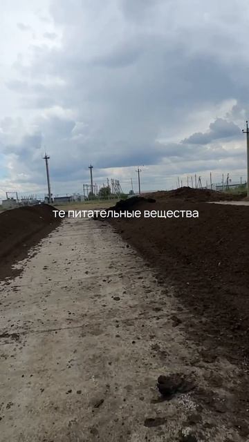 #зоотехния #апк #сенаж #агрохолдинг #кормозаготовка #животноводство #молочноеживотноводство #кфх