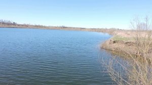 Сезон открыт