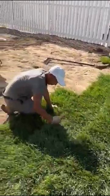 Укладка рулонного газона  GAZON GROUP