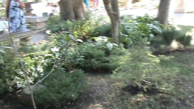 20КАБАРДИНКА СТАРЫЙ ПАРК2015 ГОД