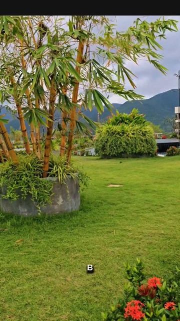 15 апреля 2026 гороскопсегодня