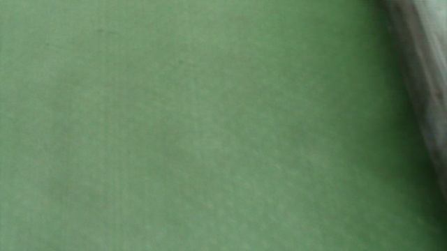 81ГЕЛЕНЖИК САФАРИ ПАРК2015 ГОД