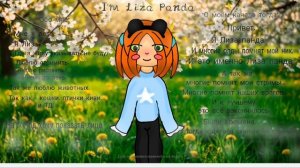 (﹤﹥ Описание ﹤﹥)