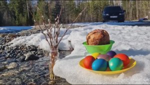 На природе в светлый день.