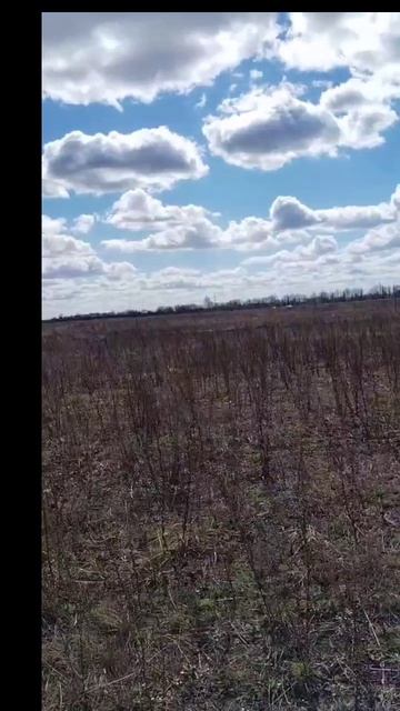 Продаётся участок 15 соток. Под строительство дома не менее 40 кв м.