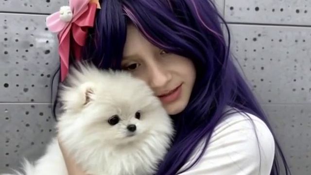 Я хочу эту собаку 