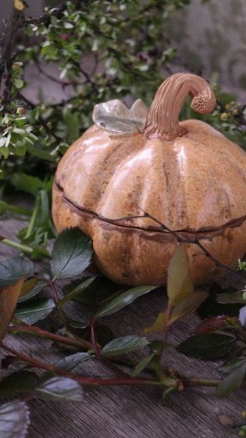 Тыковка готова!