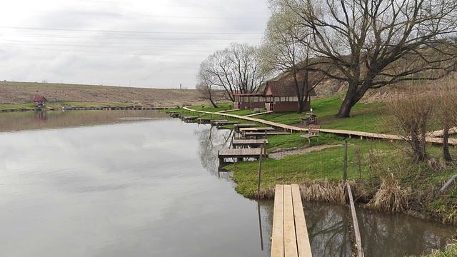 Рыбалка на карпа Каньон.