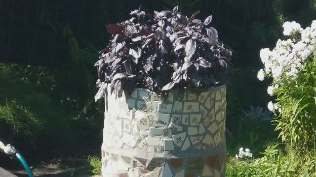 Обложила. Неожиданный эффект