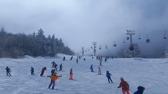 Фестиваль Цей - Питер