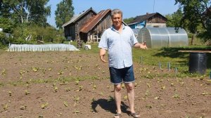 «МАЙСКАЯ ВЫСАДКА В ГРУНТ РАССАДЫ СОРТОВОГО ТАБАКА – 7 лет назад» «Сады порока» 4 сезон 2 серия