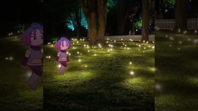 Мир лунары юеюею