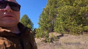 RC машинка. машинка на радиоуправлении танк леопард.