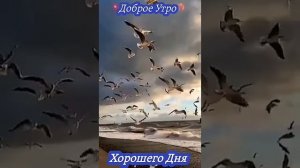 А счастье начинается с Тебя.