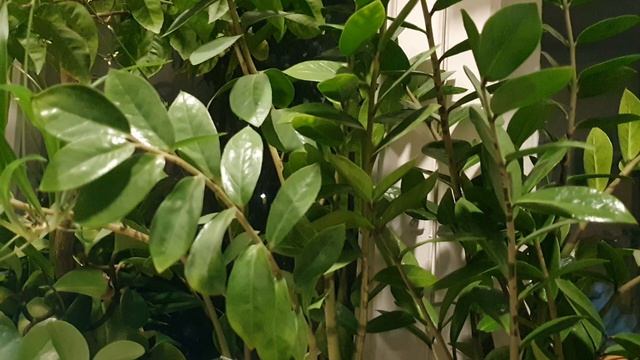 Возвращение к Блоку