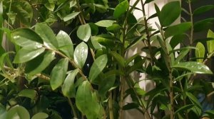 Возвращение к Блоку