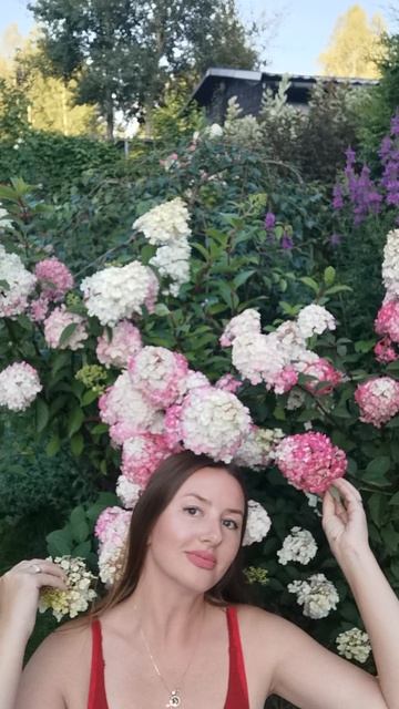 В моём саду 30 сортов гортензий. На видео три сорта - Самарская Лидия Diamantino Vanila Fraise.