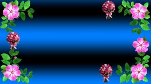 С днём рождения, любимая МИАМ!