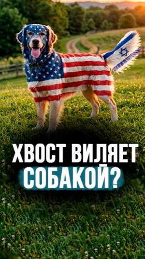 Дудкин: Нетаньяху «накачал» Трампа на боевые действия! // Израиль – кукловод США? #shorts