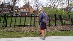 Мыльные пузыри