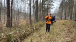 История о красноярской «банде егерей»