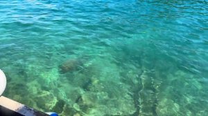 Капри лето на острове прогулка по уютным улицам и морскому побережью