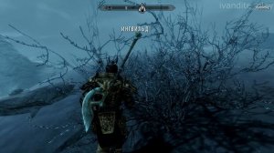 Прохождение The Elder Scrolls V:Skyrim # 20(Без Комментариев)