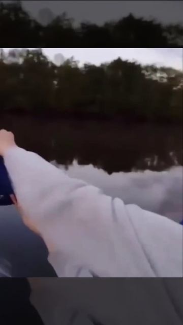 Количество комаров над рекой