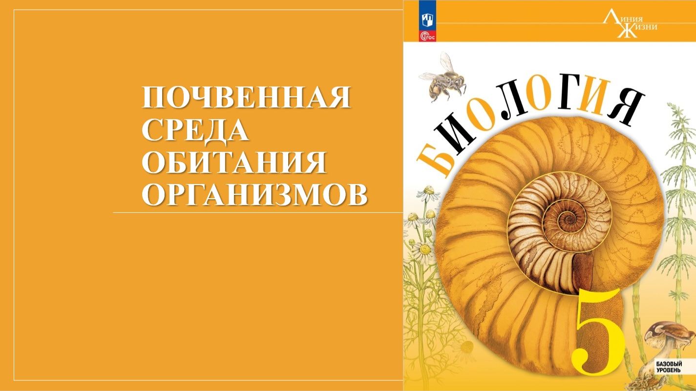 Урок 22. Почвенная среда обитания организмов