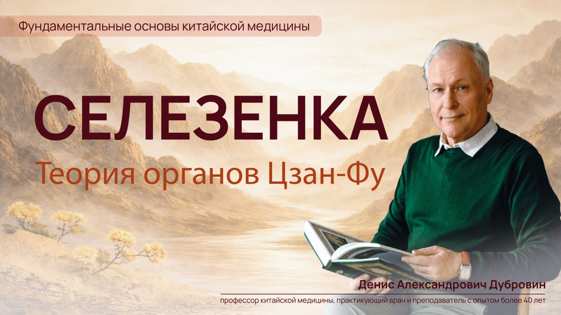 Теория органов Цзан-Фу. Селезенка поджелудочная железа.