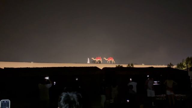 Световое представление с верблюдами в сафари в Дубае