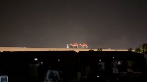 Световое представление с верблюдами в сафари в Дубае